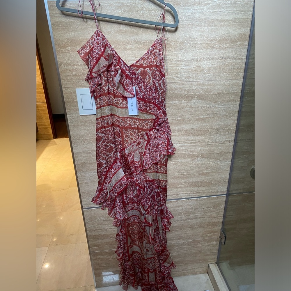 Raquel Diniz silk dress NWT